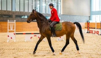 Сергей Собянин: Московский ипподром станет одним из лучших в мире