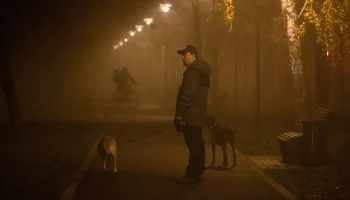 Синоптик Позднякова &mdash; о тумане в Москве: В воздухе накапливаются вредные примеси