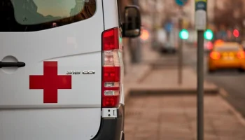 Двухмесячный мальчик погиб после нападения собаки в Подмосковье