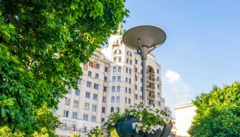 Свыше 250 тысяч цветочных кашпо украсят Москву в этом году