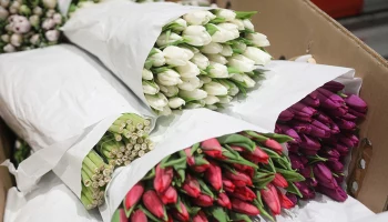 Эксперт Долгова предупредила москвичей о подорожании букетов к 8 Марта