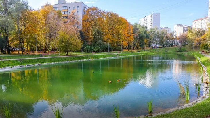 Собянин: в 2025 году в Москве запланирована реабилитация 19 водных объектов