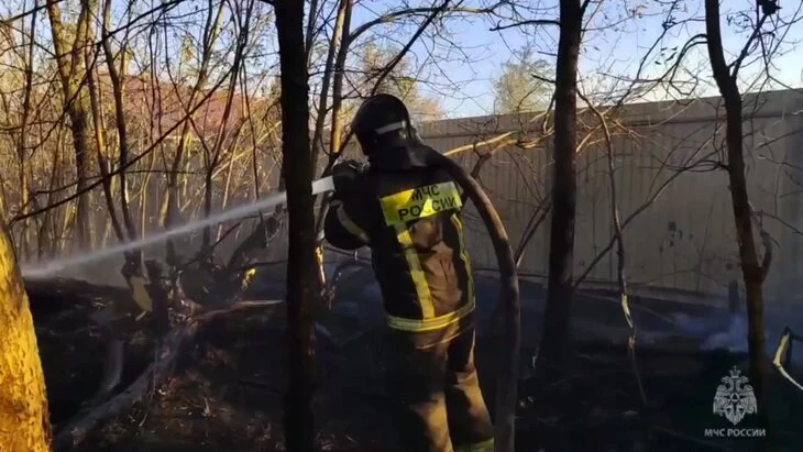 Сухая трава загорелась в воронежском селе Хреновое на площади 10 га
