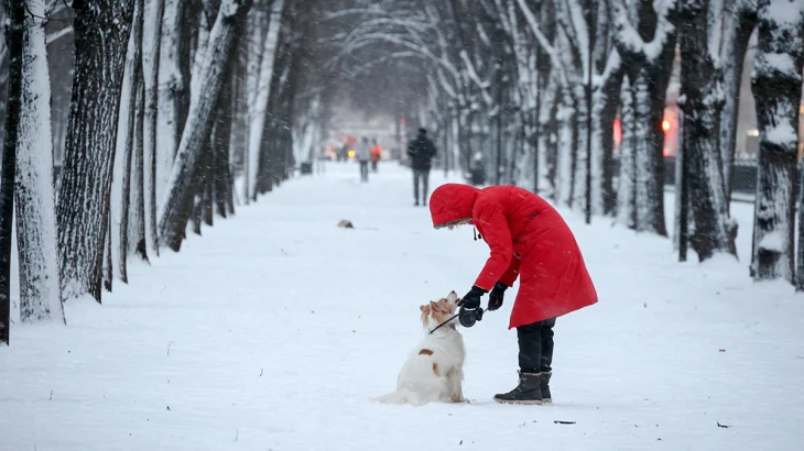 Синоптик Тишковец предупредил о морозах до минус 25 градусов в Москве Синоптик Тишковец предупредил о морозах до минус 25 градусов в Москве