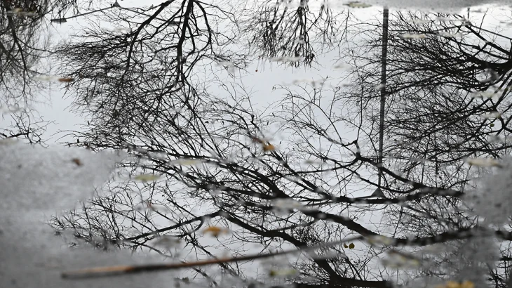 Синоптики сообщили об облачной погоде с дождем в Москве 11 декабря Синоптики сообщили об облачной погоде с дождем в Москве 11 декабря