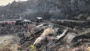 Лесные пожары на юго-востоке Южной Кореи полностью ликвидированы