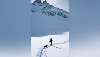 Испанскую лыжницу вместе с собакой унесло лавиной на горе в Андорре