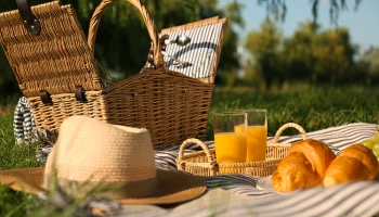 Молочка и салаты: в Роскачестве назвали продукты, которые не стоит брать на пикник