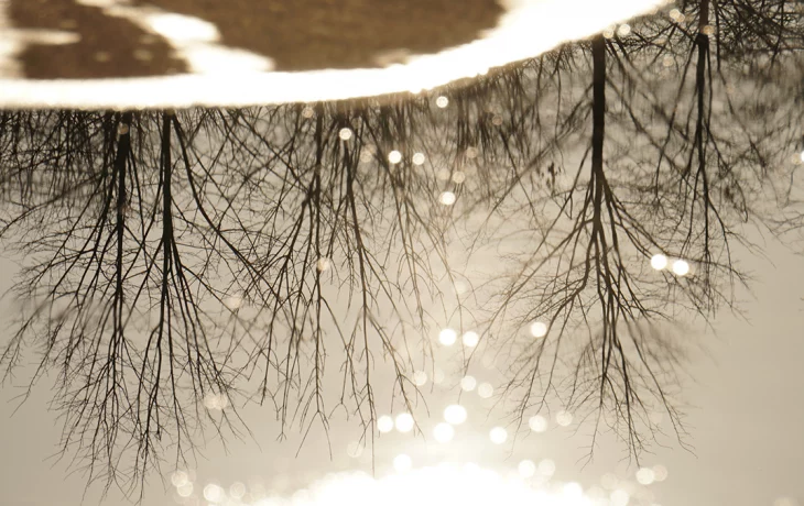 Синоптики пообещали москвичам облачную погоду 18 марта Синоптики пообещали москвичам облачную погоду 18 марта