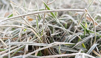 Сильное похолодание придет в Московский регион 5 апреля