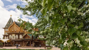 Сергунина: Москвичи определят самые интересные аудиоэкскурсии сервиса Russpass по паркам столицы