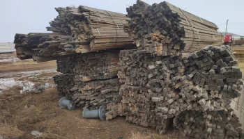 В Забайкалье пресечена деятельность банды, вывезшей лес на 1 млрд рублей