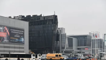 Воробьев: идея создания сада или сквера у "Крокуса" обсуждается с собственником