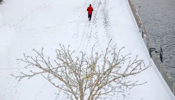 Самые сильные морозы с начала зимы ударили по Центральной России