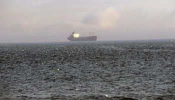 SVT: шедший в Россию сухогруз Meshka сел на мель у берегов Швеции