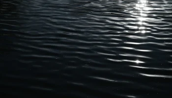 Температура воды в реках столичного региона опустилась до 16&ndash;21 градуса