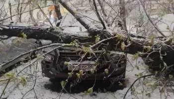 В Москве продолжают ликвидировать последствия сильного ветра и снегопада