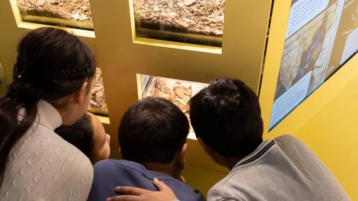 Москвичей пригласили посетить энтомологическую лабораторию в «Биокластере»