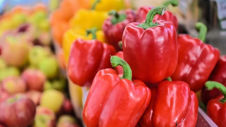 Участница московских ярмарок оказывает поддержку бойцам СВО Участница московских ярмарок оказывает поддержку бойцам СВО