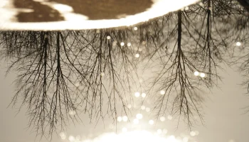 Вильфанд предупредил москвичей о резком падении давления к 4 марта