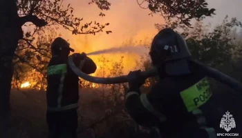 Глава ЛНР заявил, что к пожарам могли привести умышленные поджоги