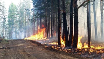 В Бурятии ввели режим ЧС регионального характера из-за лесных пожаров