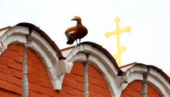 Рост давления и похолодание: какой будет погода в Москве на предстоящих выходных