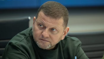 Экс-депутат Рады Береза сообщил об увольнении Залужного