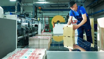 Столичные компании нарастили производство бумажных изделий