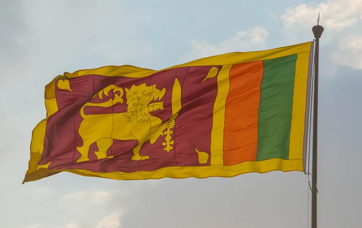 Посольство РФ: Полиция расследует инцидент с российскими туристами в Шри-Ланке Посольство РФ: Полиция расследует инцидент с российскими туристами в Шри-Ланке