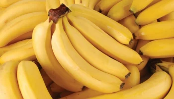 Росстандарт впервые разработал ГОСТ на бананы