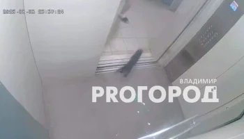 Во Владимире мужчина кошкой разбил зеркало лифта