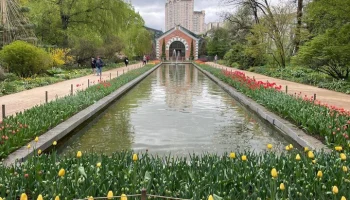 "Аптекарский огород" закрыт для посетителей 19 мая