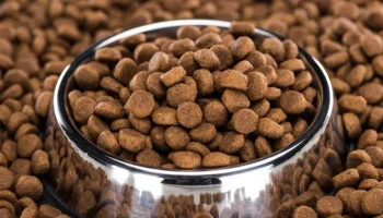 Производители Москвы увеличили поставку готовых кормов для животных в два раза