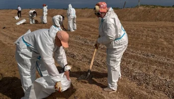 Мэрия Анапы увеличила иск за ликвидацию последствий разлива мазута до 545,9 млн рублей