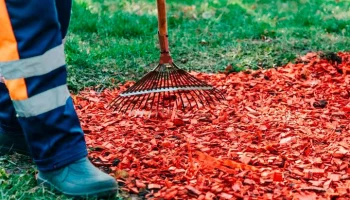 Подготовка цветников к зимнему сезону началась в столице