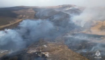 Огненный смерч зафиксировали в Приморье во время природных пожаров