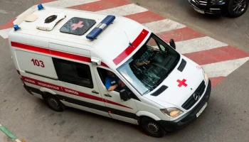 Минздрав Крыма: лев разорвал главе парка "Тайган" трахею