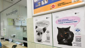 В Томской области усыпили таксу, от укусов которой погибла новорожденная девочка