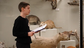 Какие олимпиады для московских школьников пройдут весной 2026 года