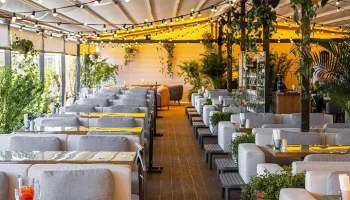 Почти на 600 кафе и ресторанов стало больше в столице с начала года