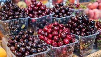 Черешня и вишня появились на прилавках столичных ярмарок