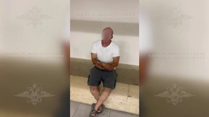 ТАСС: напавший на ребенка в Шереметьево мужчина признал вину
