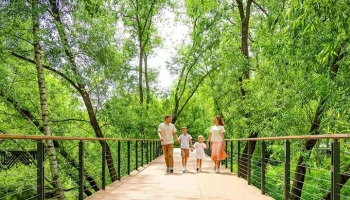 "Активные граждане" выберут лучшие экотропы в Москве