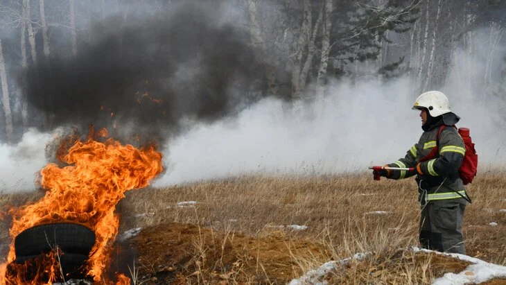 В Забайкалье пожарные локализовали пять лесных пожаров на площади 83 тысячи гектаров