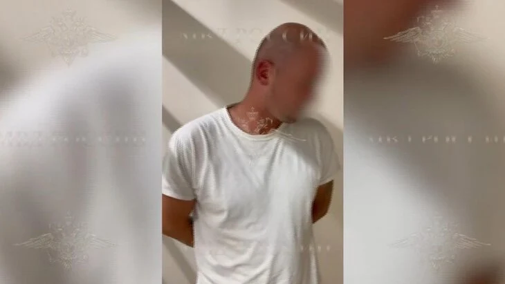 Отец пострадавшего в Шереметьево ребенка: жена отошла за коляской в момент нападения