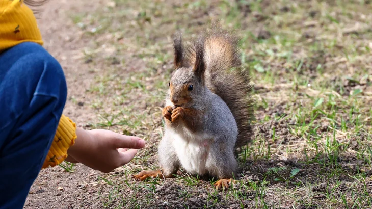 Синоптик Леус рассказал, когда в Москве потеплеет до плюс 16 градусов Синоптик Леус рассказал, когда в Москве потеплеет до плюс 16 градусов