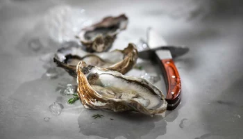 В Госдуме предложили поднять НДС на устрицы и снизить на детские товары