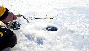 Трое рыбаков провалились под лед и утонули в Вологодской области