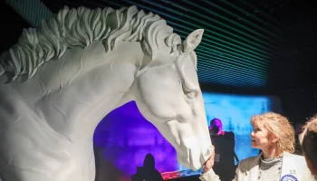 Центр конных традиций объявил об открытии летнего сезона на ВДНХ